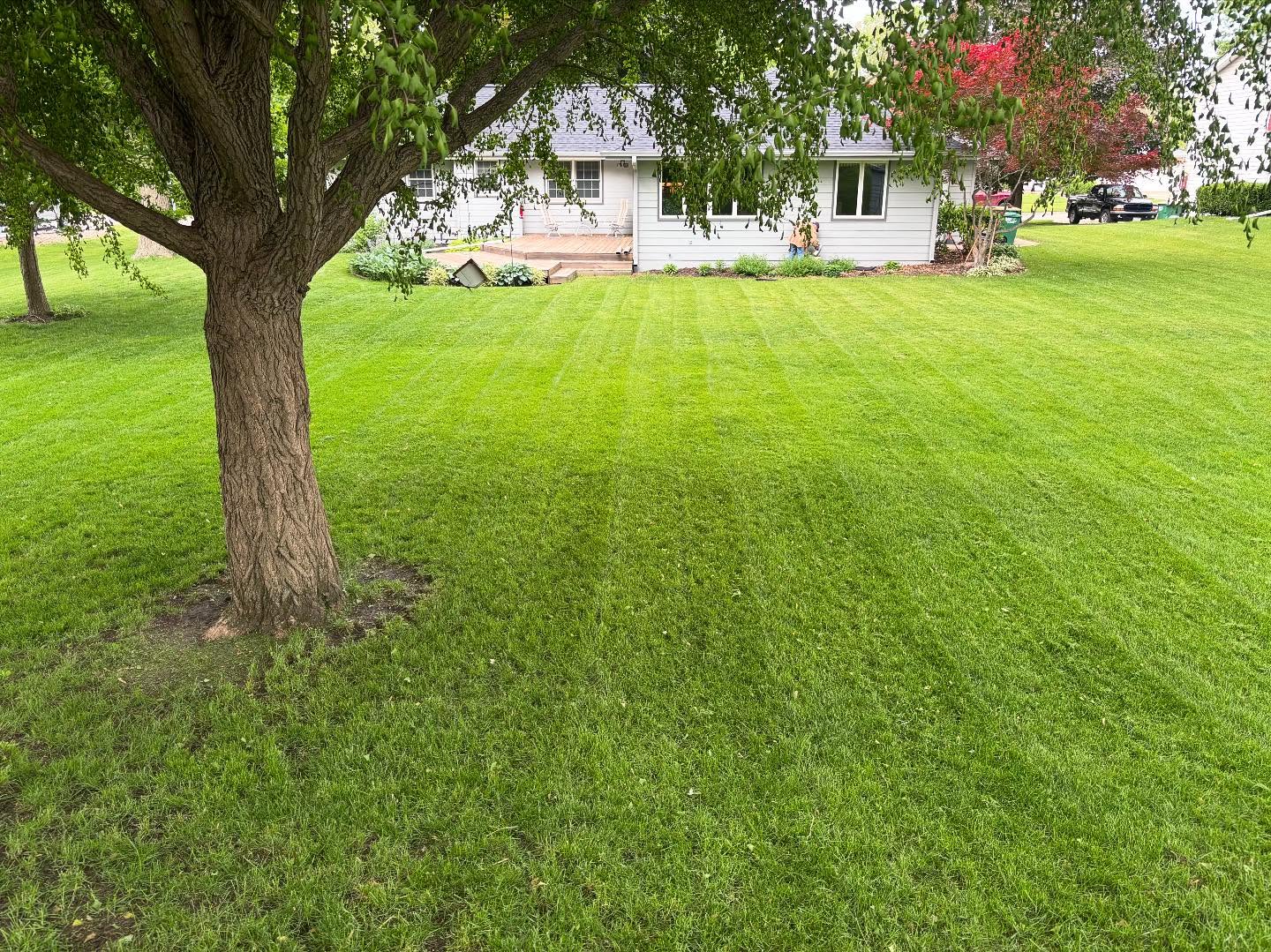 Freshly maintained Des Moines lawn
