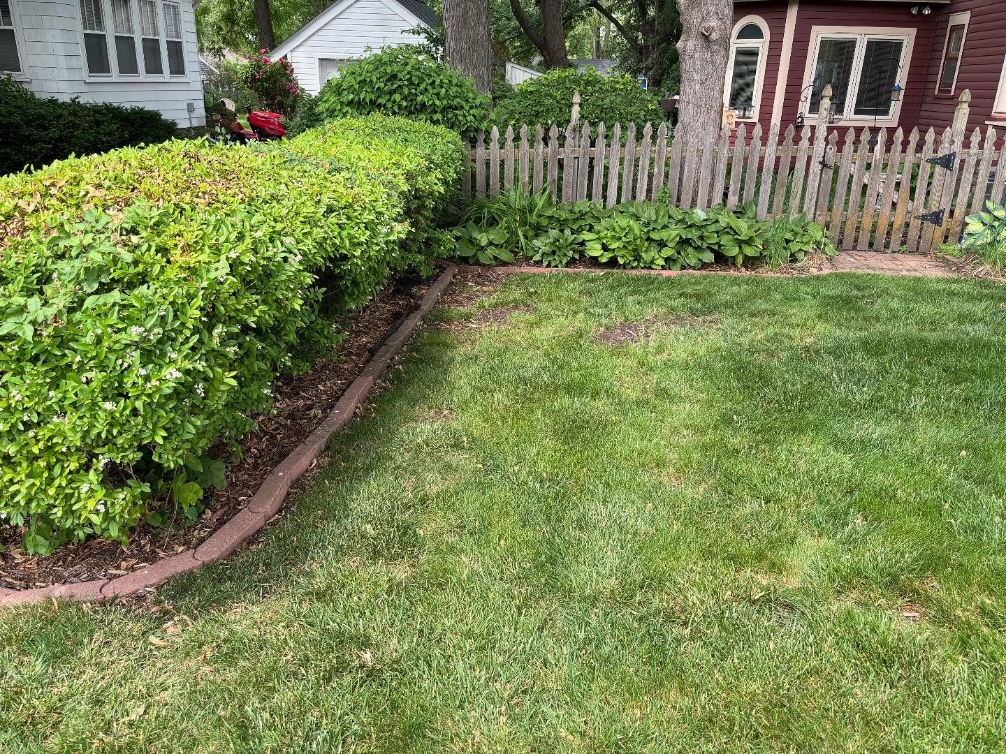 Trimmed shrubs and maintained lawn